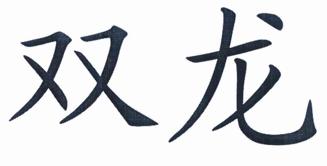 双龙