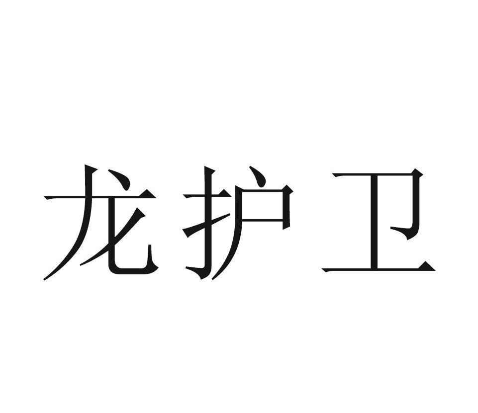 龙护卫