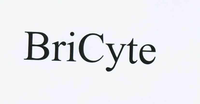 -cyte,cyte bricyte商标查询_bricyte商标注册查询_商标查询网-中细软