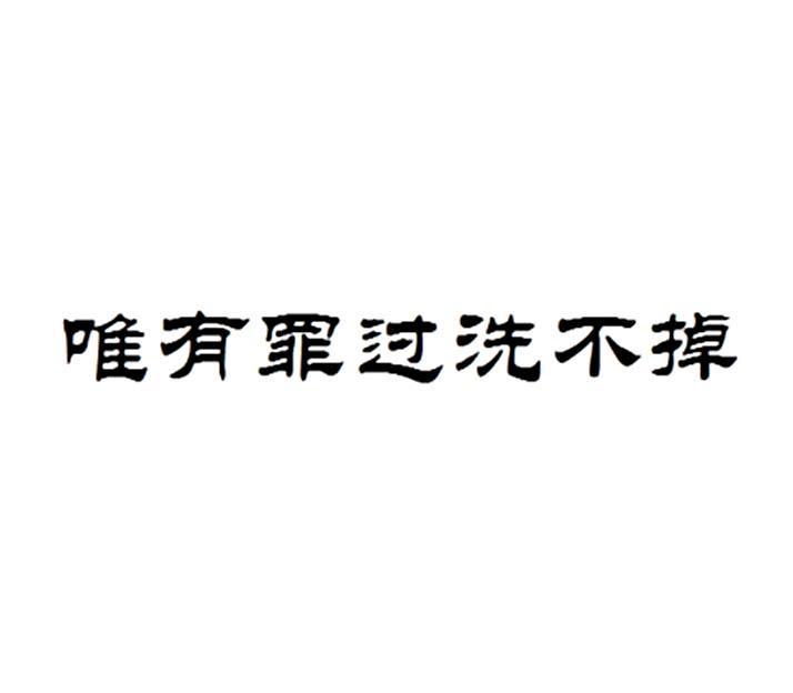 唯有罪过洗不掉
