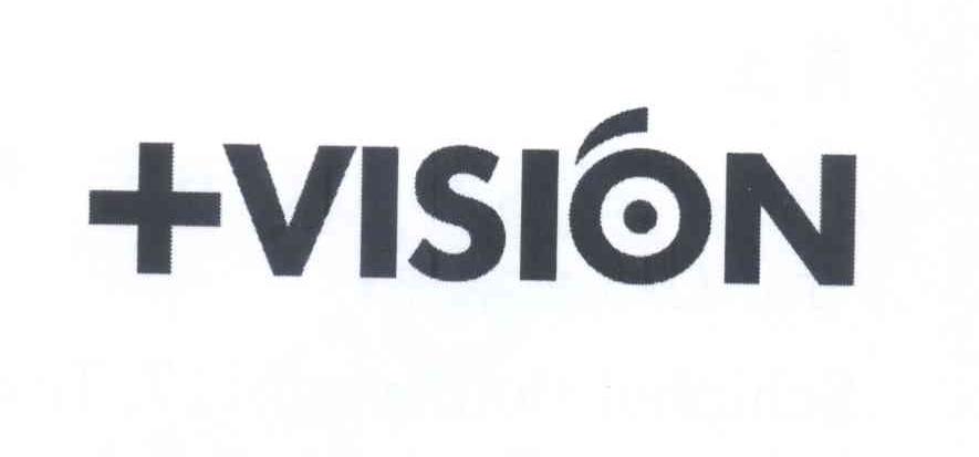 vision