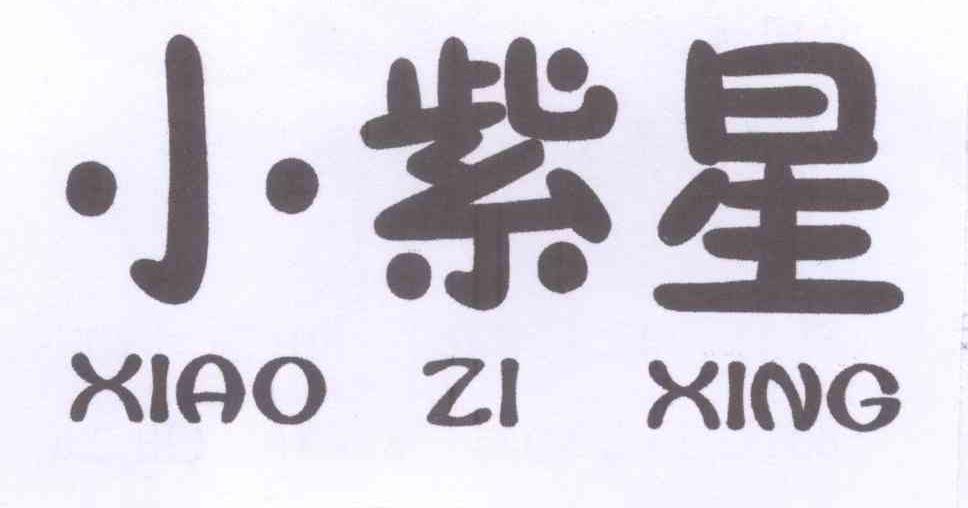 已注册小紫星所属类别 第25类-服装鞋帽群组