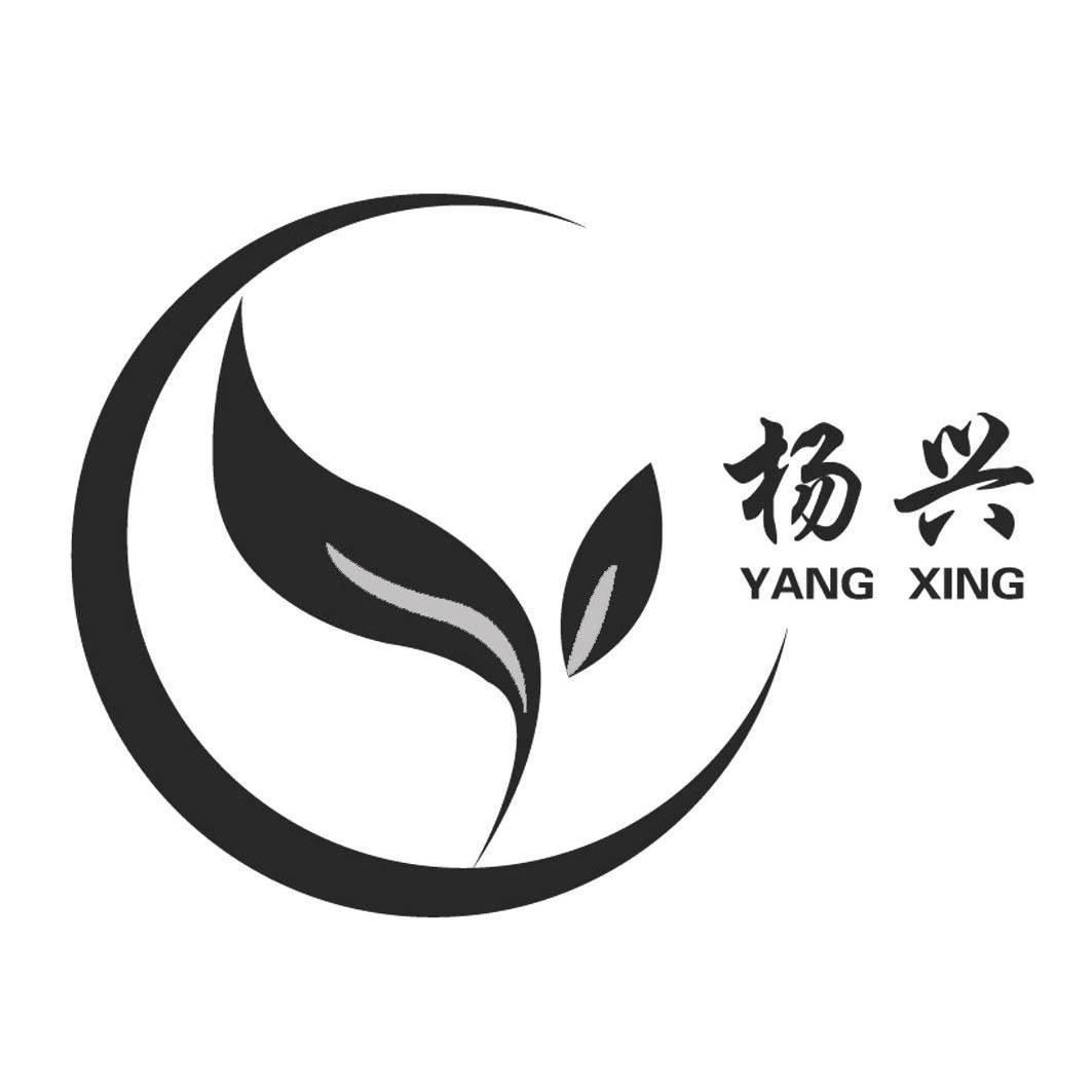 杨兴