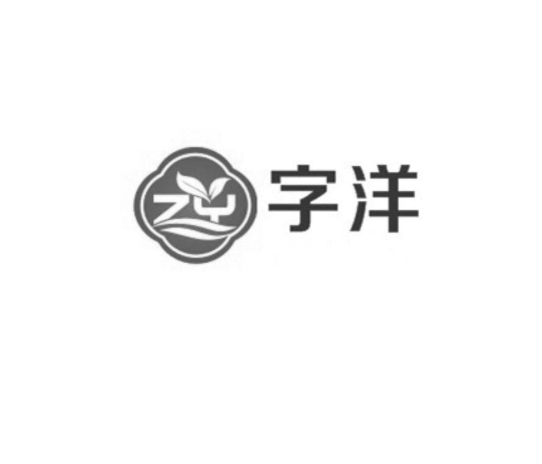 字洋zy