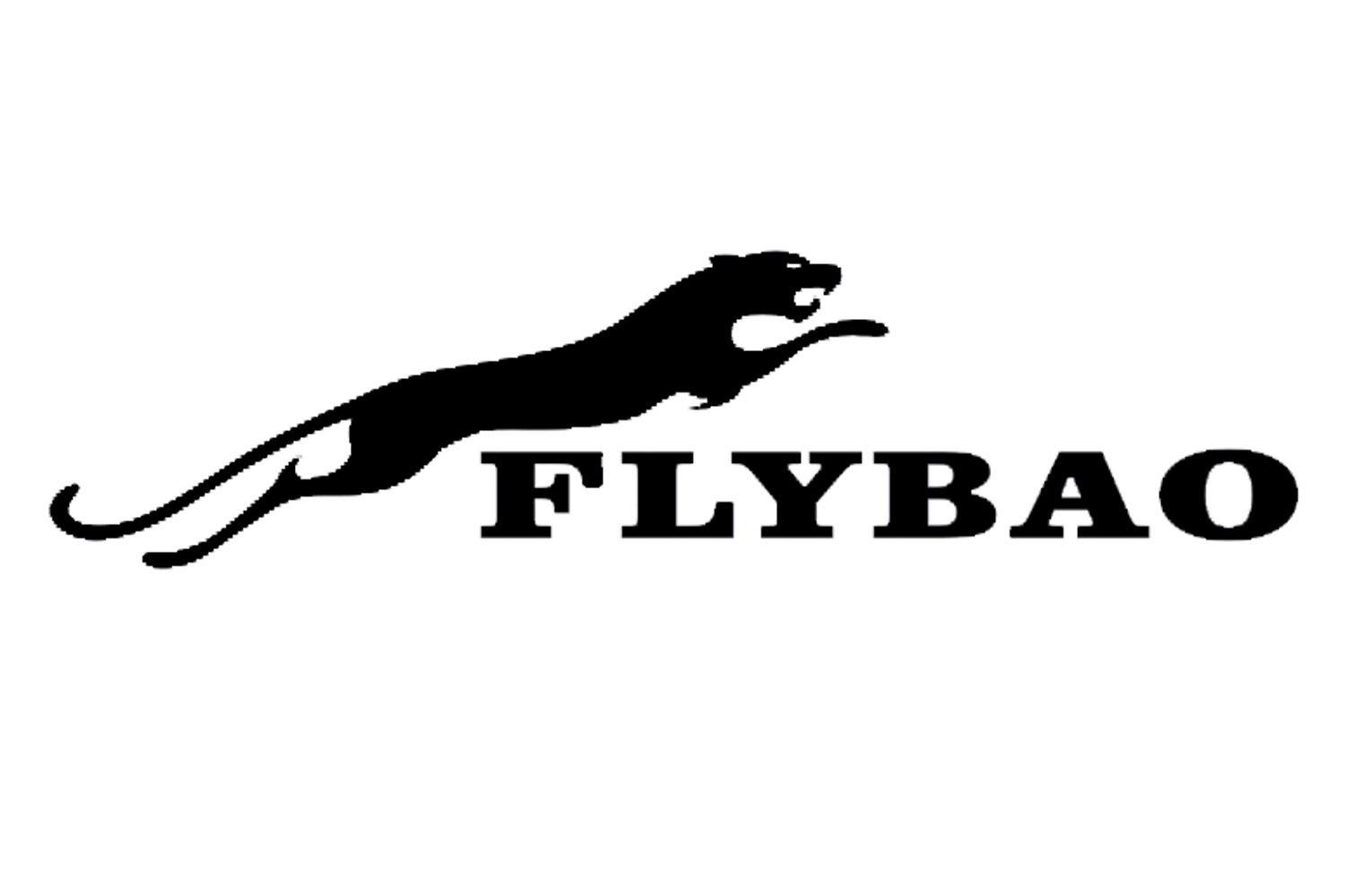 FLYBAO