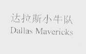 达拉斯小牛队dallasmavericks