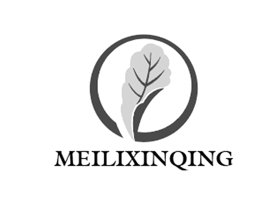 MEILIXIN QING