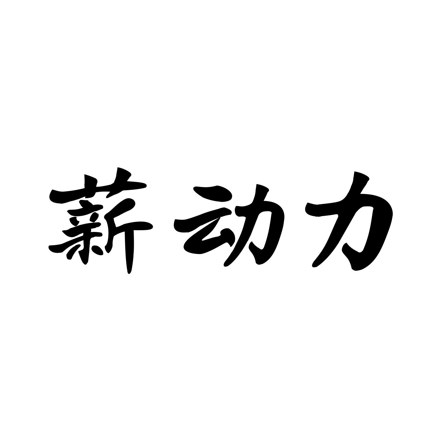 薪动力
