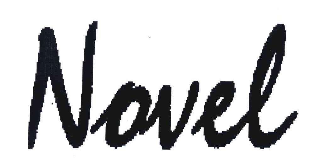 NOVEL