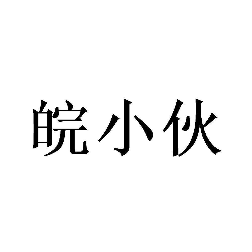 皖小伙