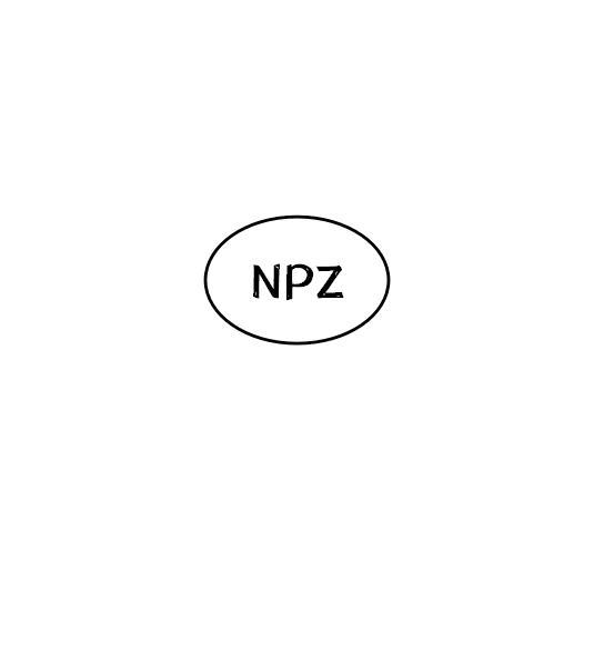NPZ