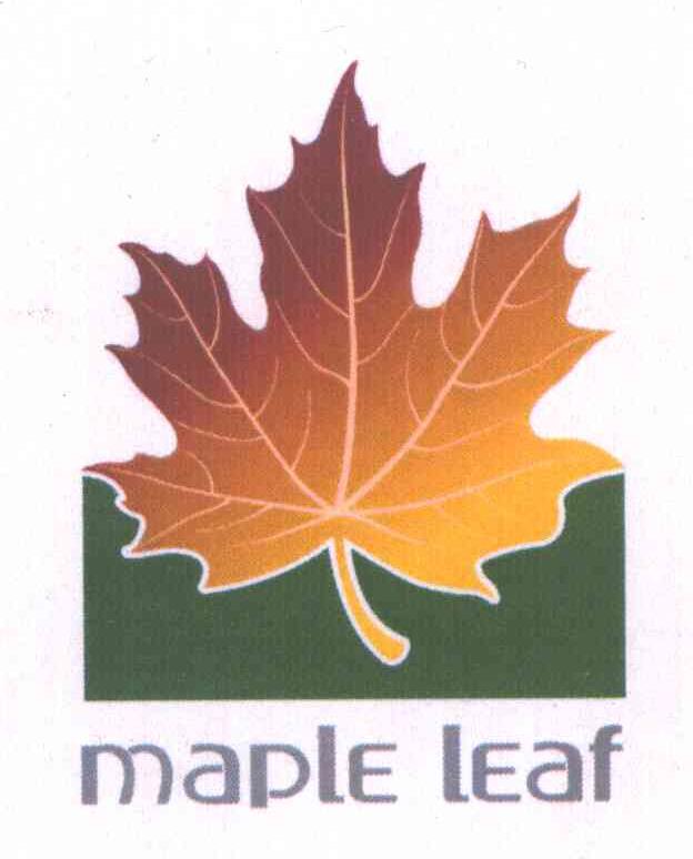 MAPLE LEAF