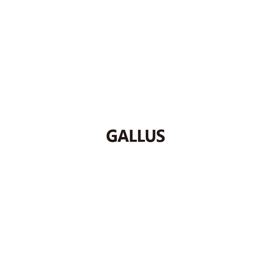GALLUS