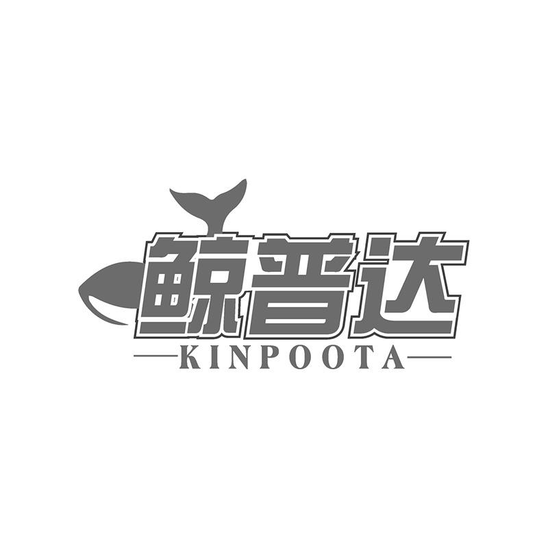 鲸普达 KINPOOTA