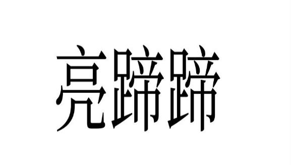 亮蹄蹄