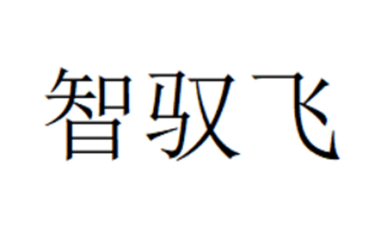 智驭飞