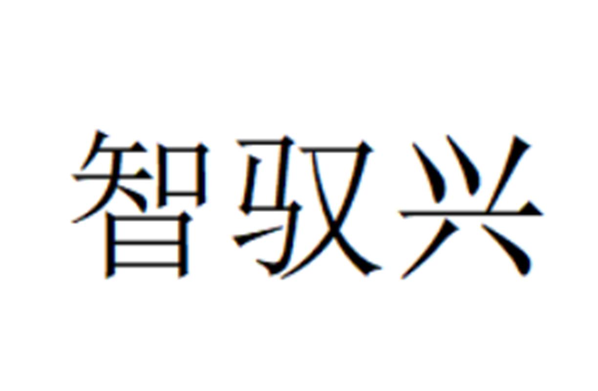 智驭兴