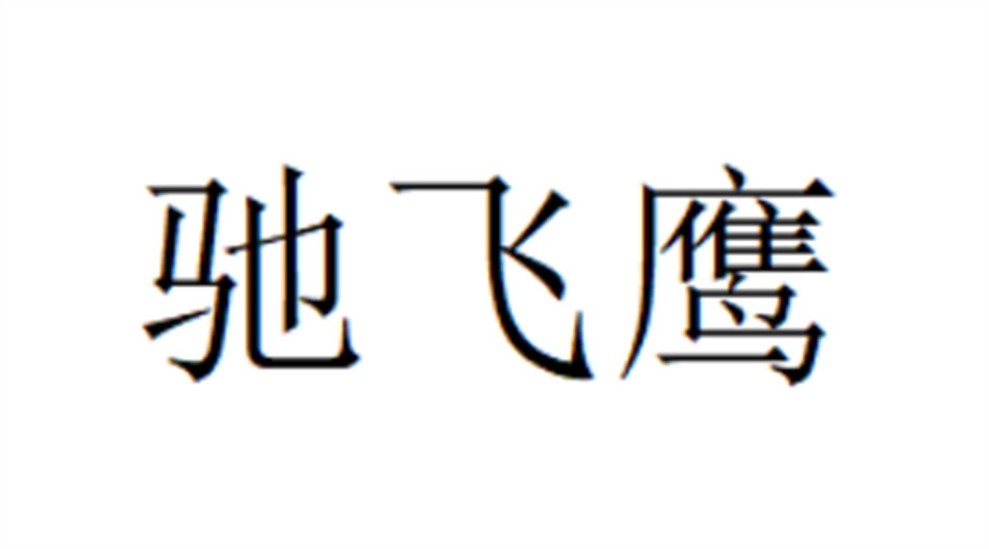 驰飞鹰