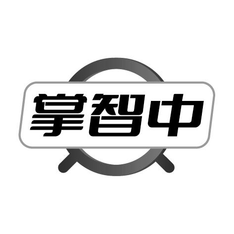 掌智中