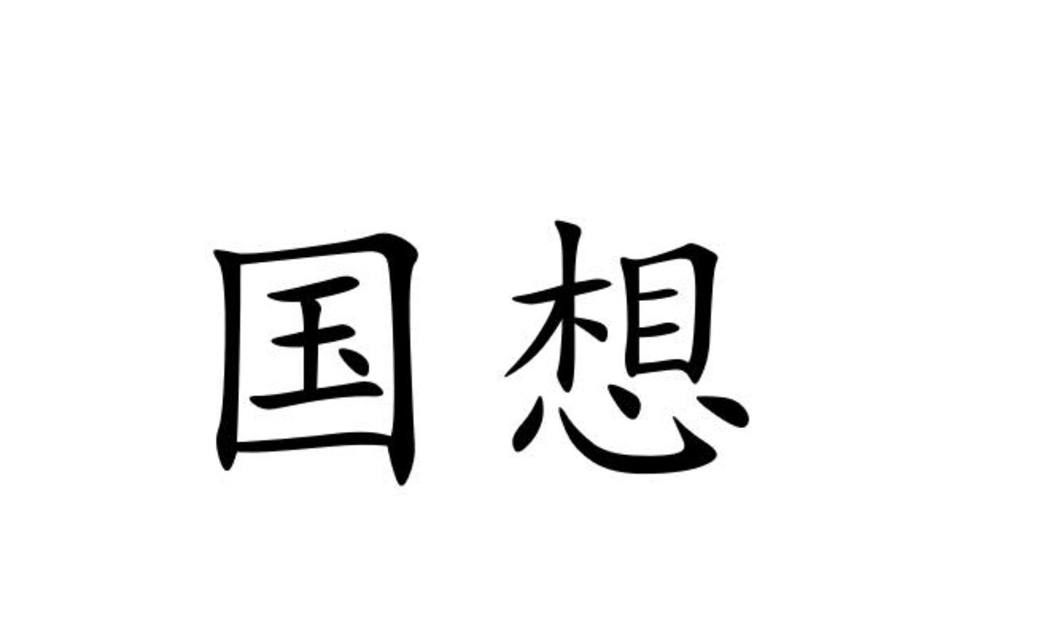 国想