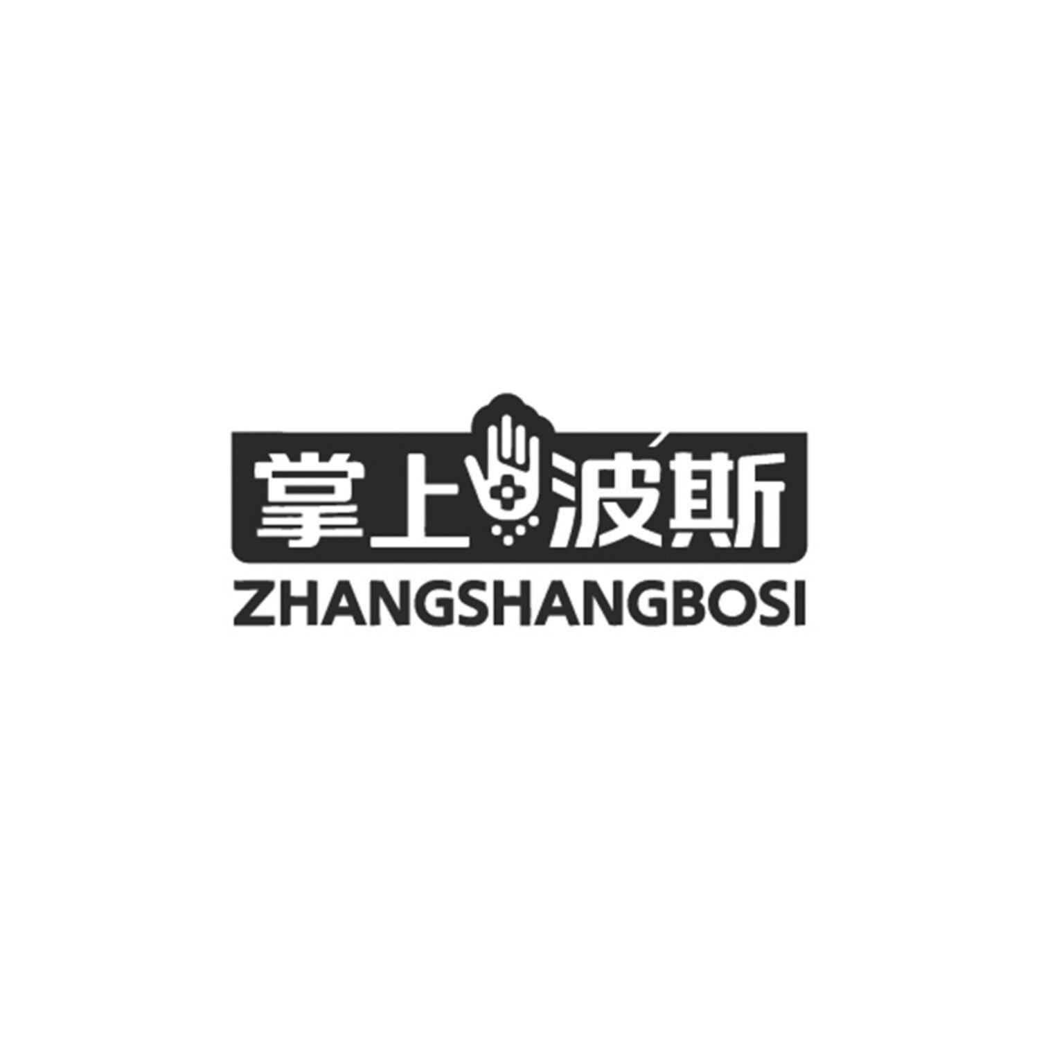 掌上波斯