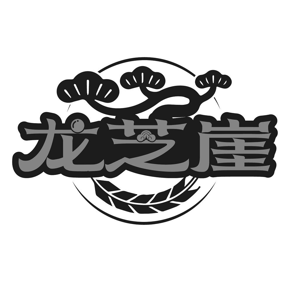 龙芝崖