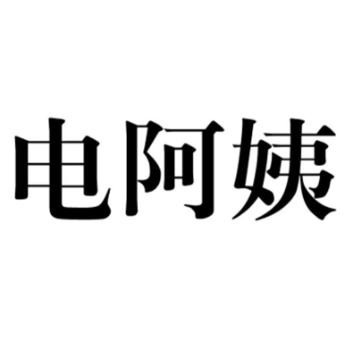 电阿姨