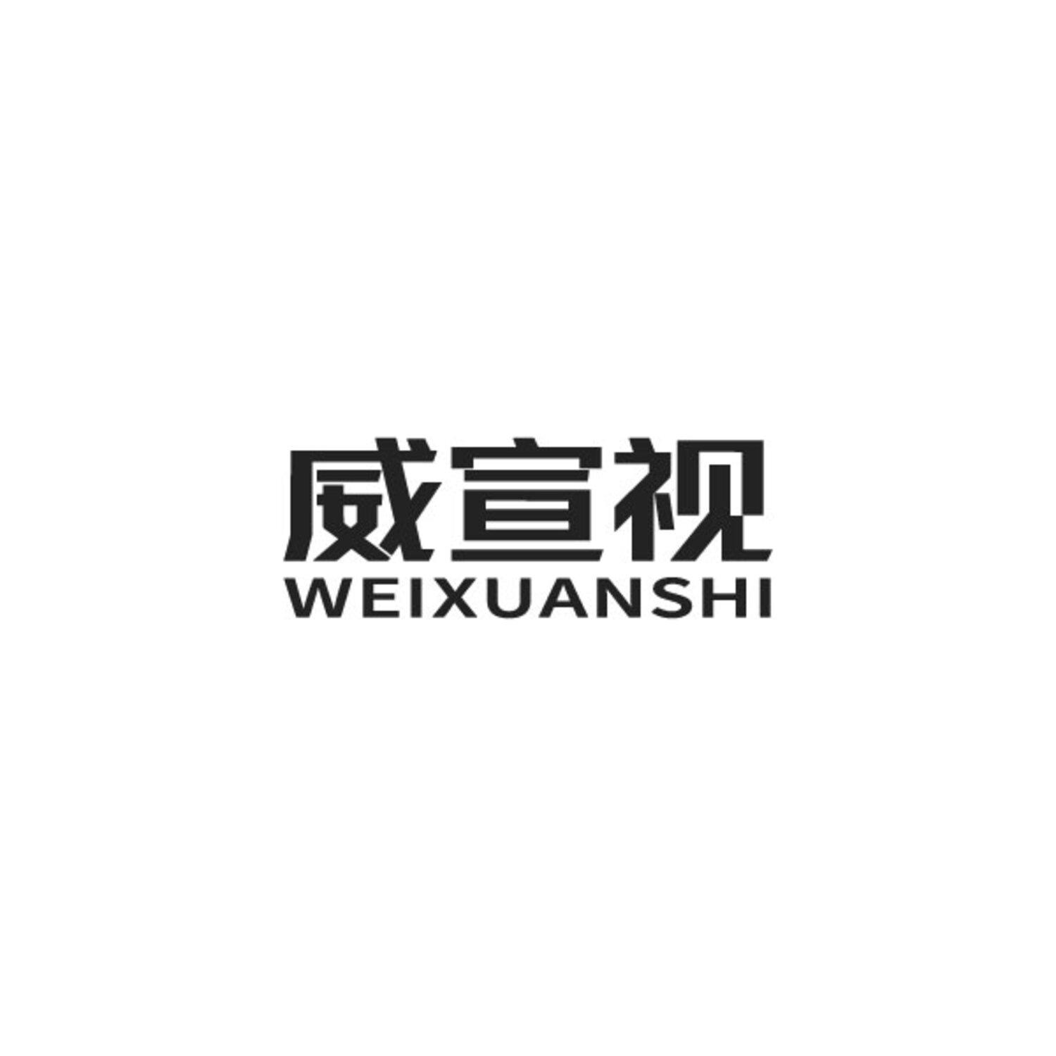 威宣视