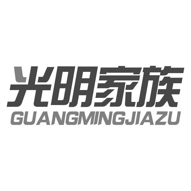 光明家族