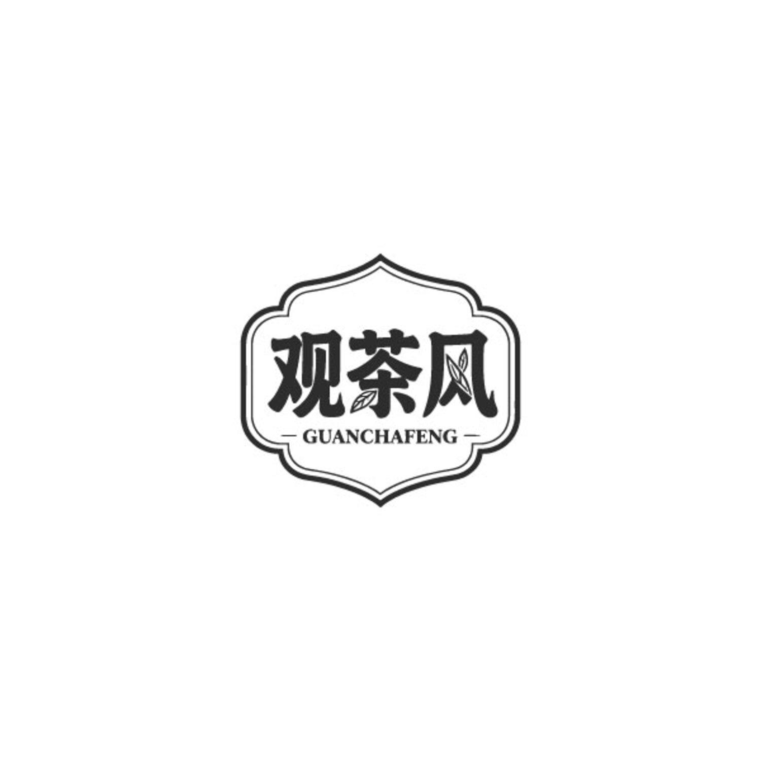 观茶风