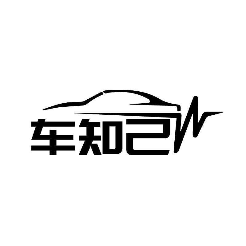 车知己