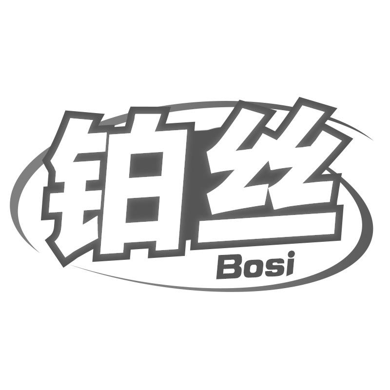 铂丝