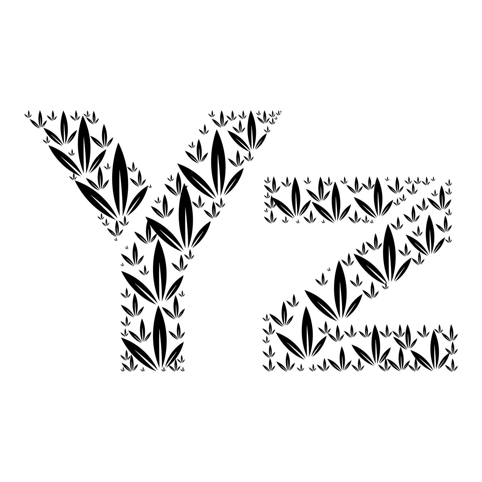 YZ