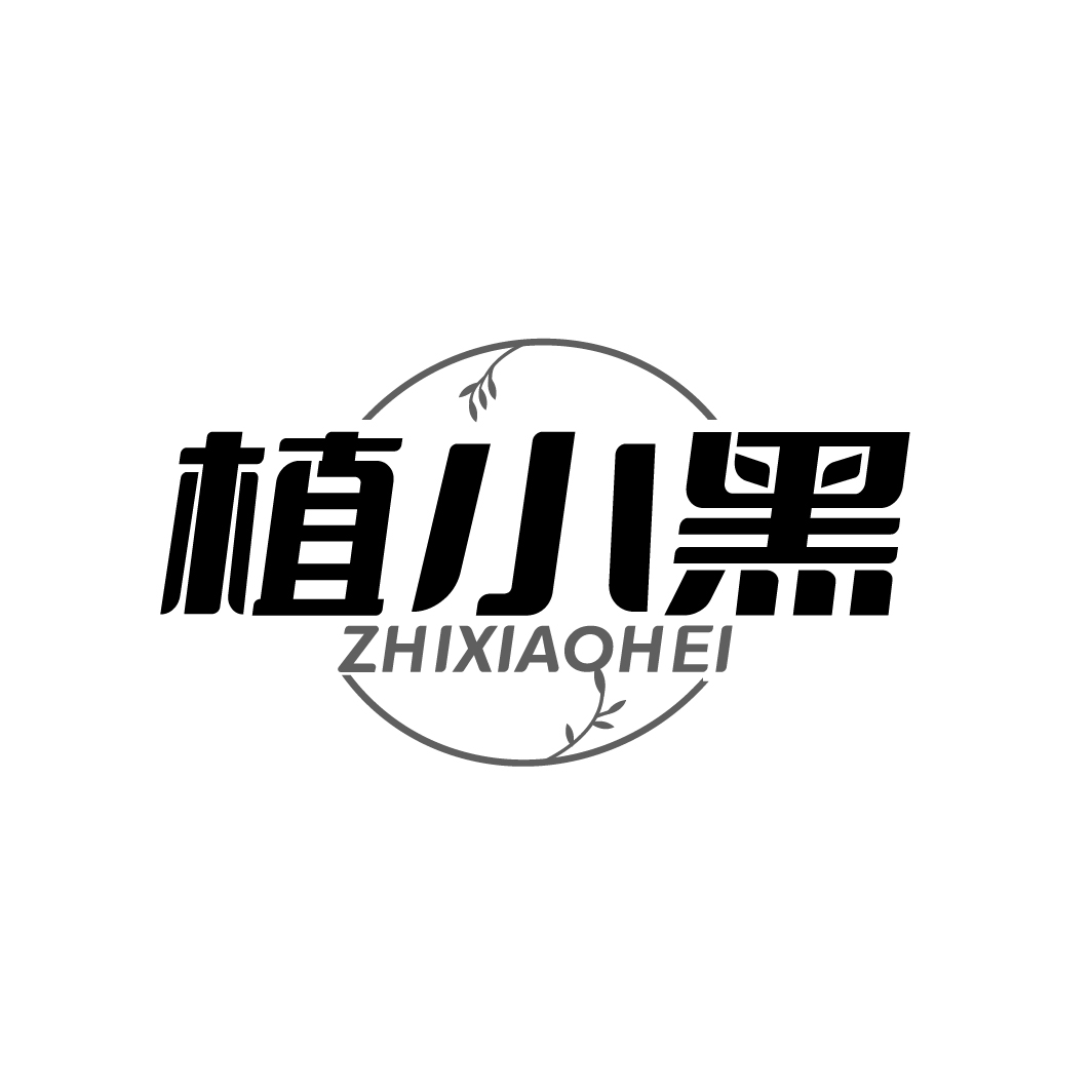 图形