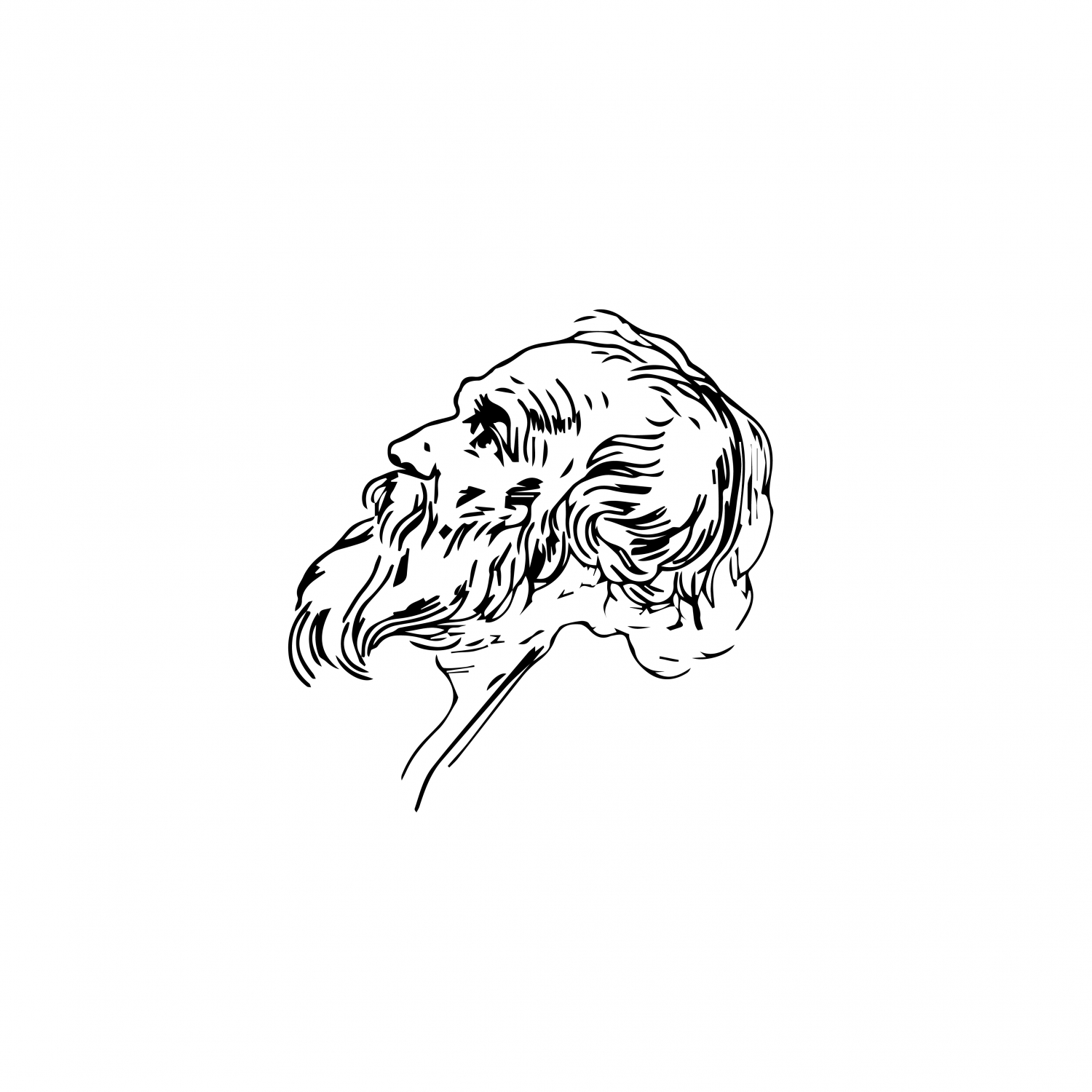 图形