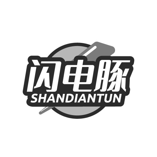 闪电豚