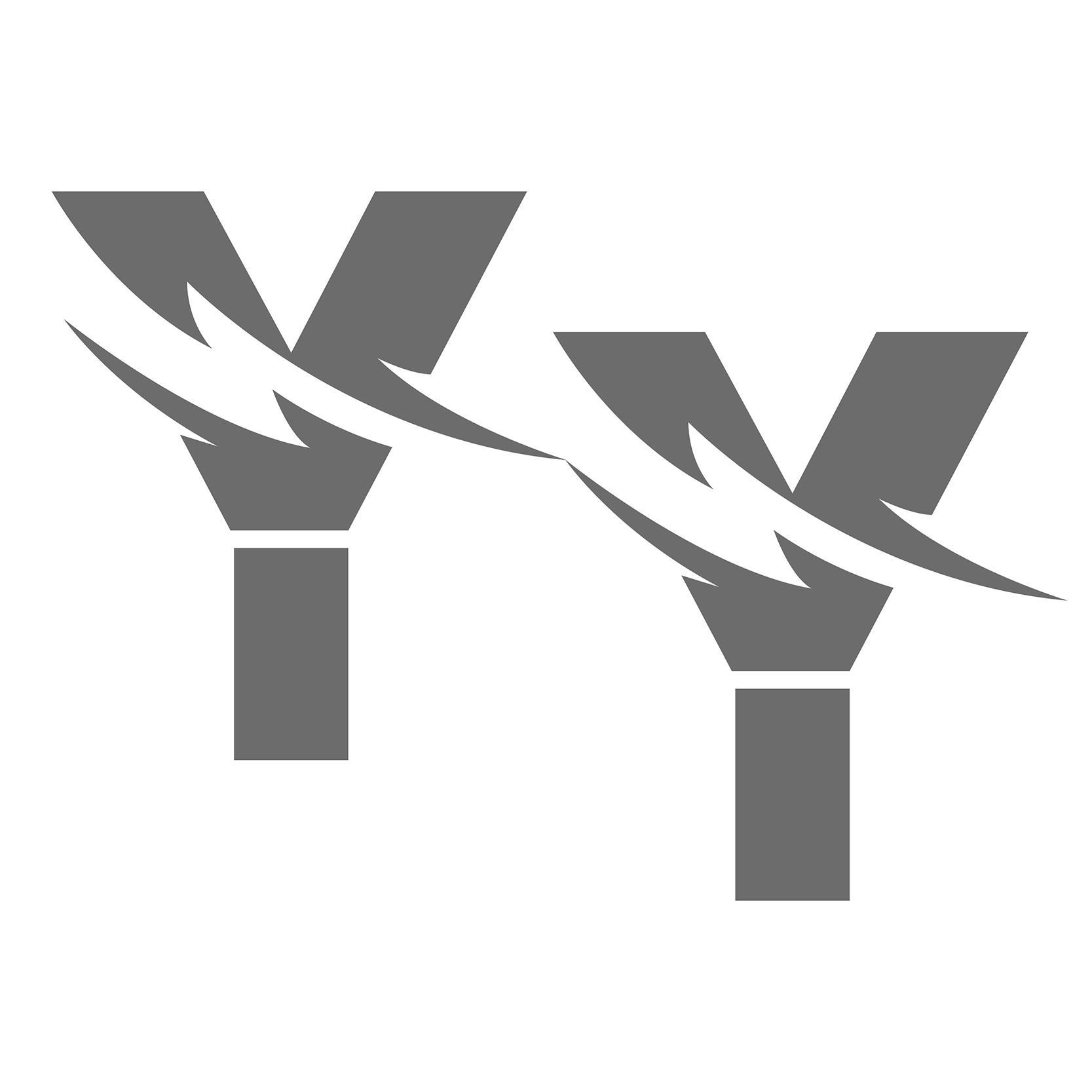 YY