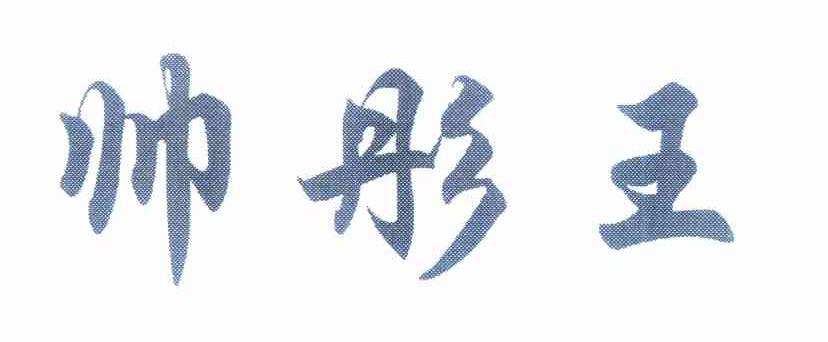 帅彤王