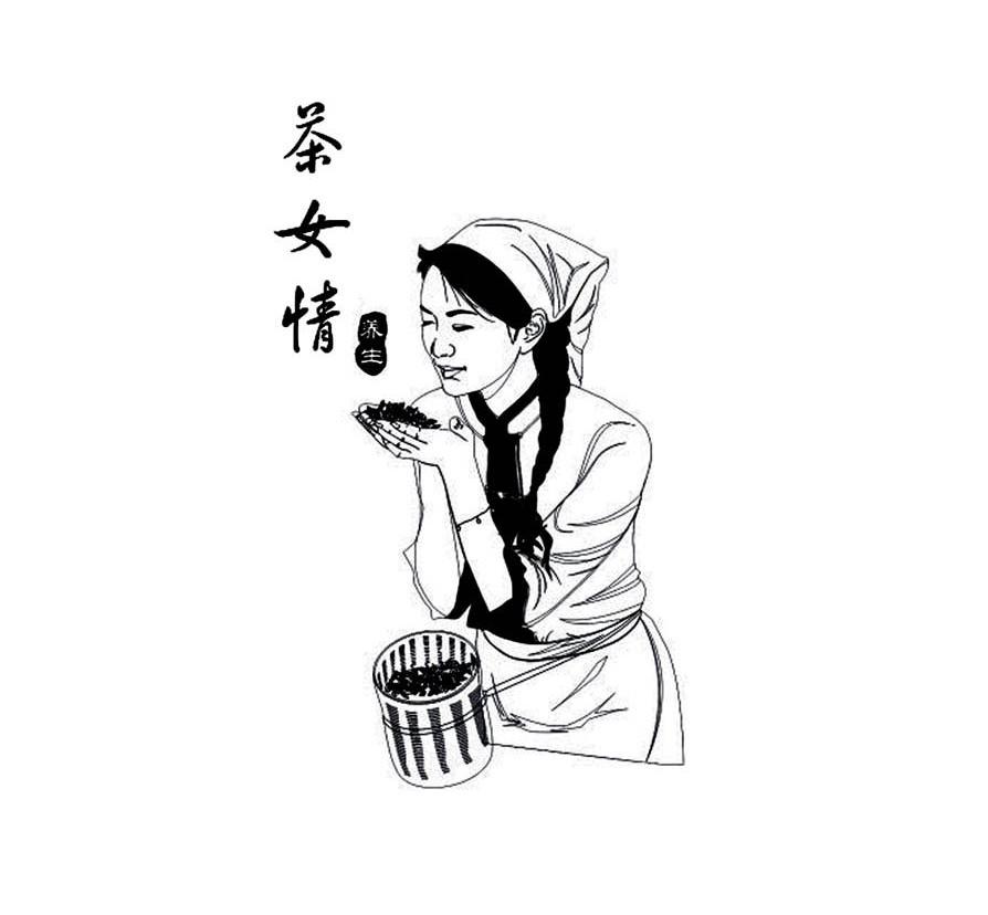 茶女情养生