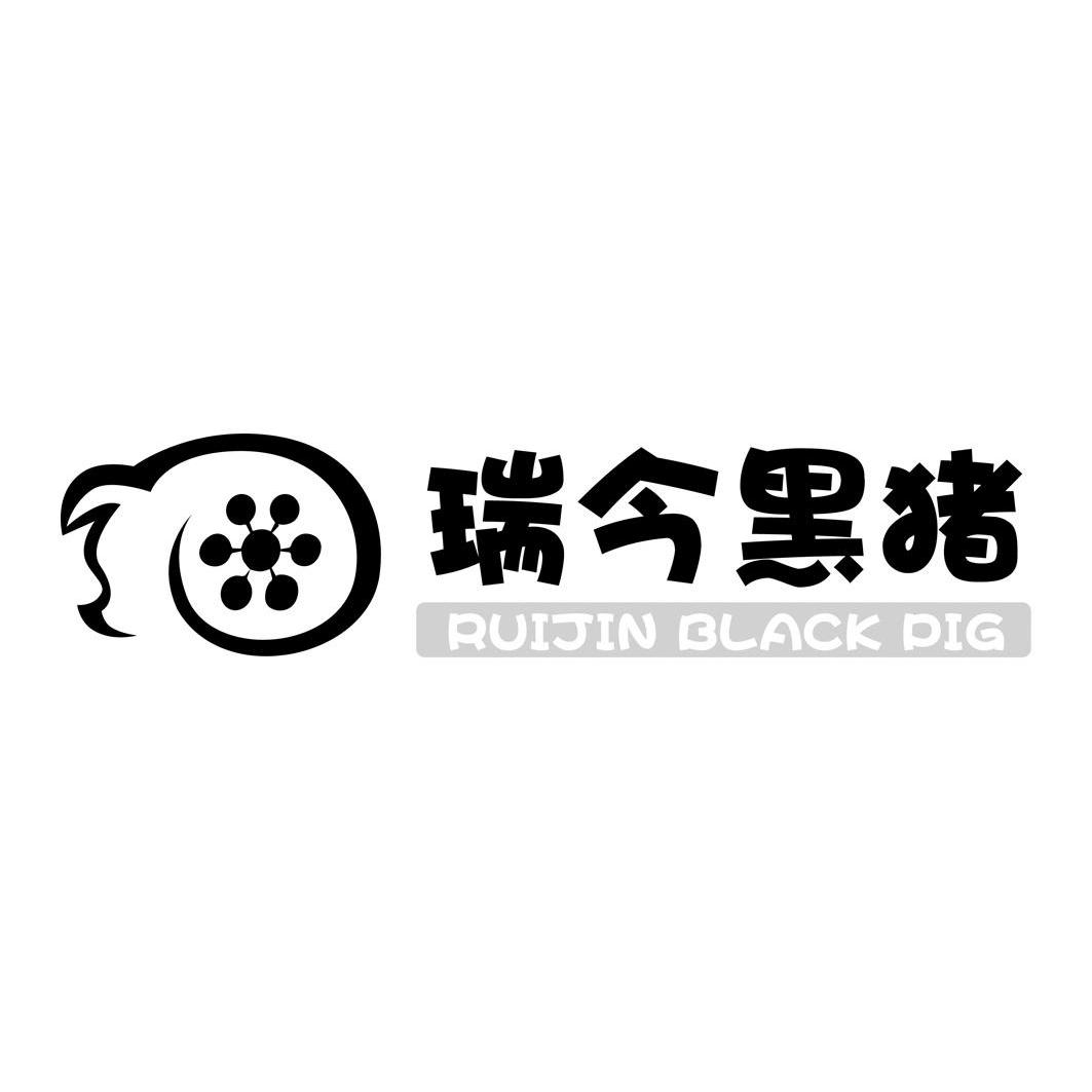 瑞今黑猪 ruijin black pig商标查询_瑞今黑猪 ruiji