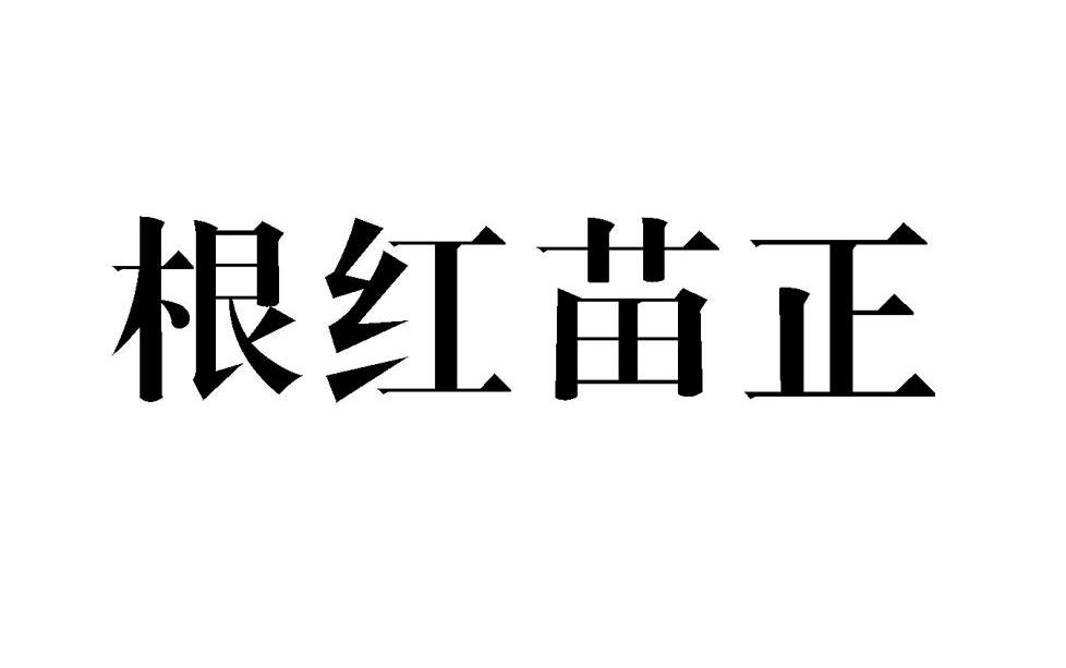 根红苗正