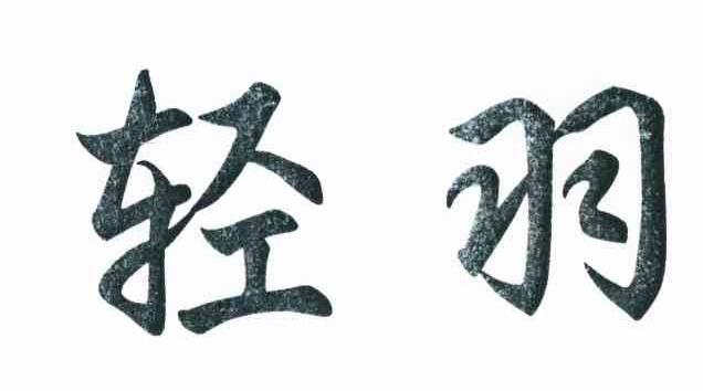 已注册轻羽所属类别: 第03类-日化用品群组