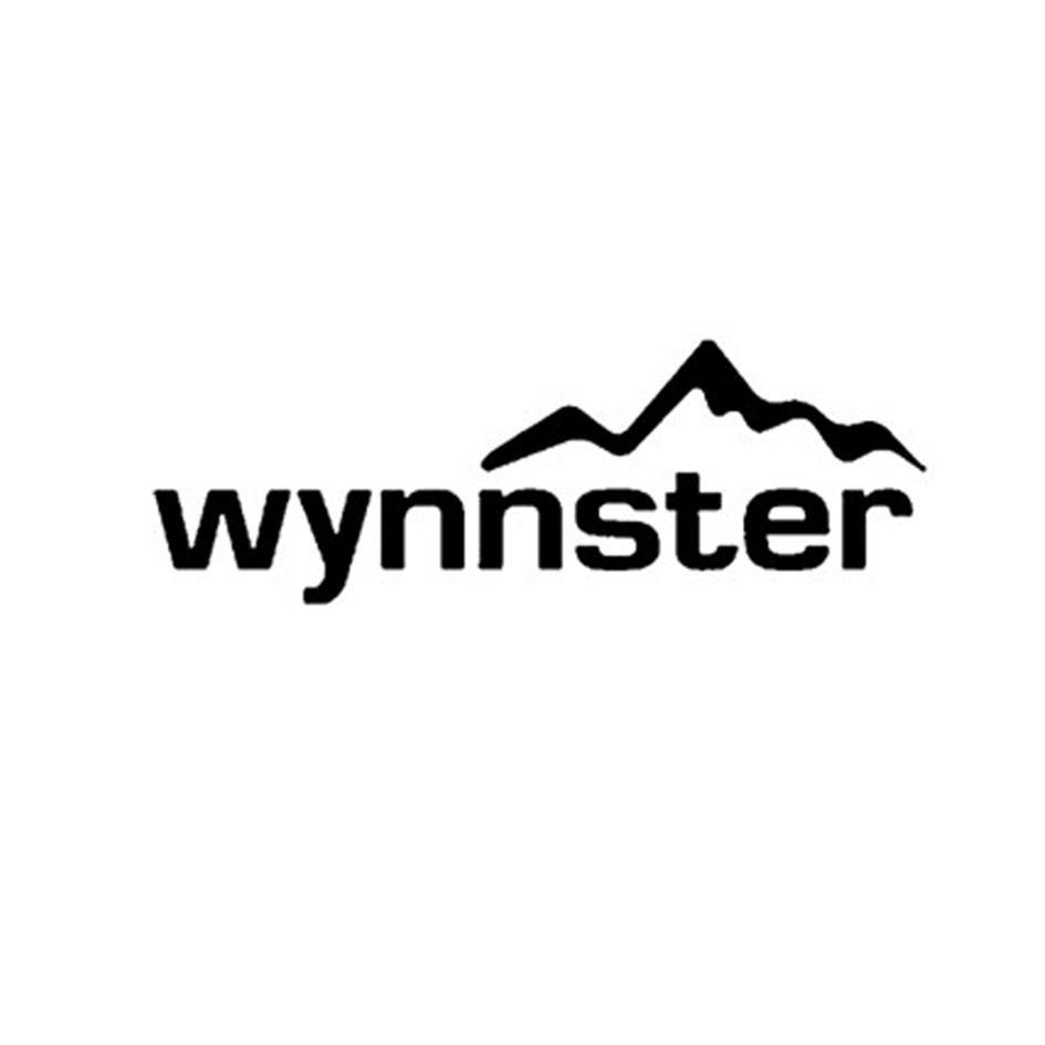 wynnster商标查询_wynnster商标注册查询_商标查询网-中细软