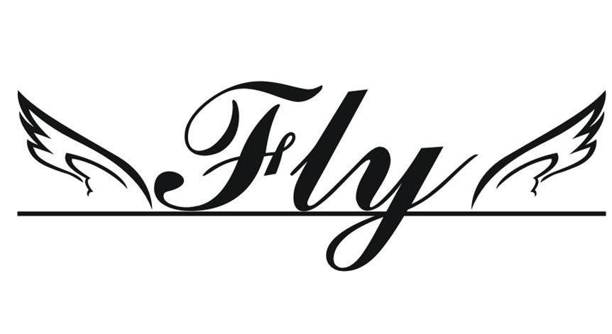 fly