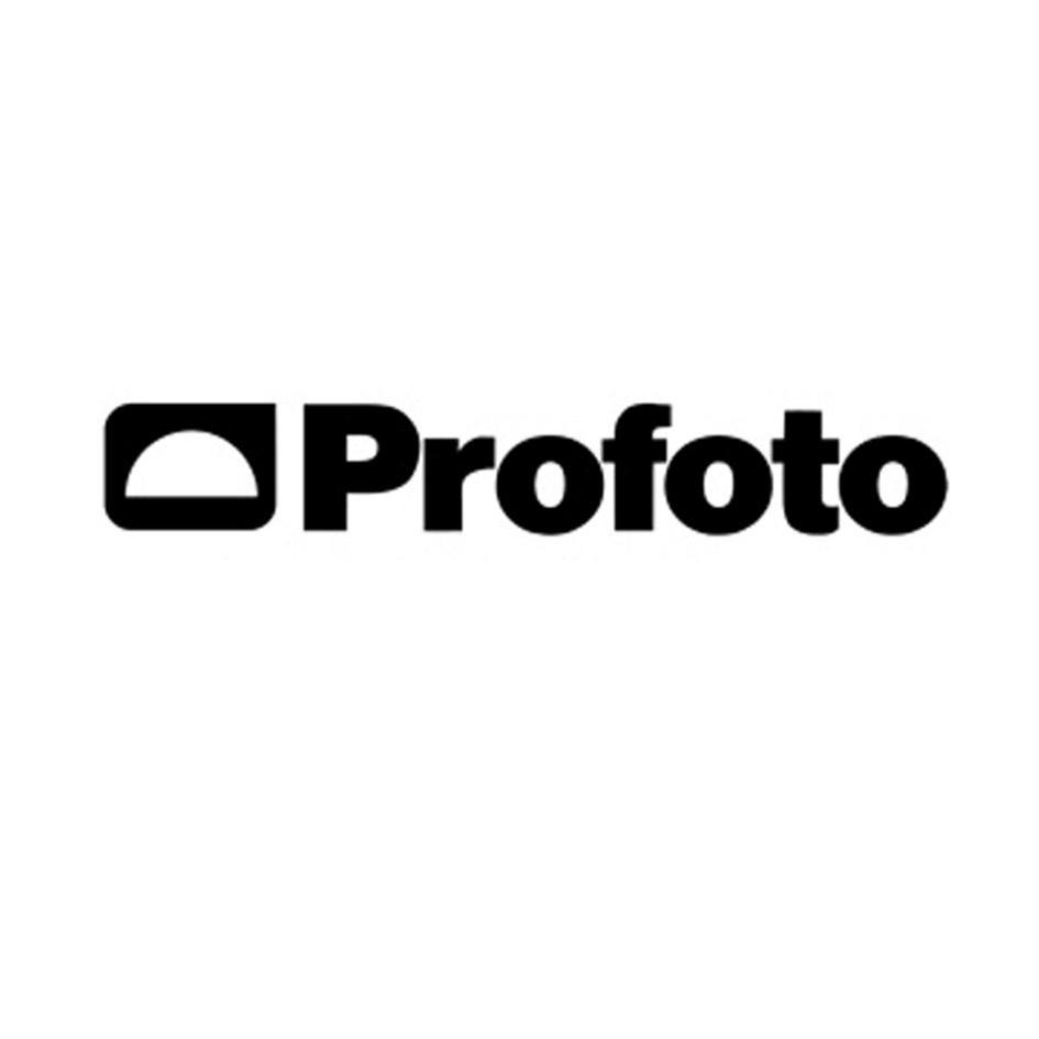 profoto商标查询_profoto商标注册查询_商标查询网-中细软