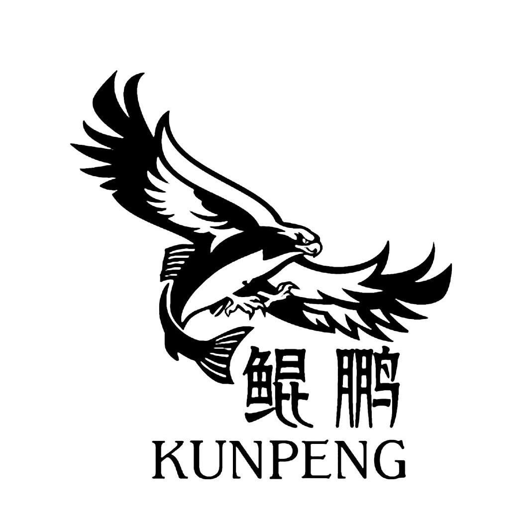 武汉鲲鹏留学官网 武汉鲲鹏留学官网