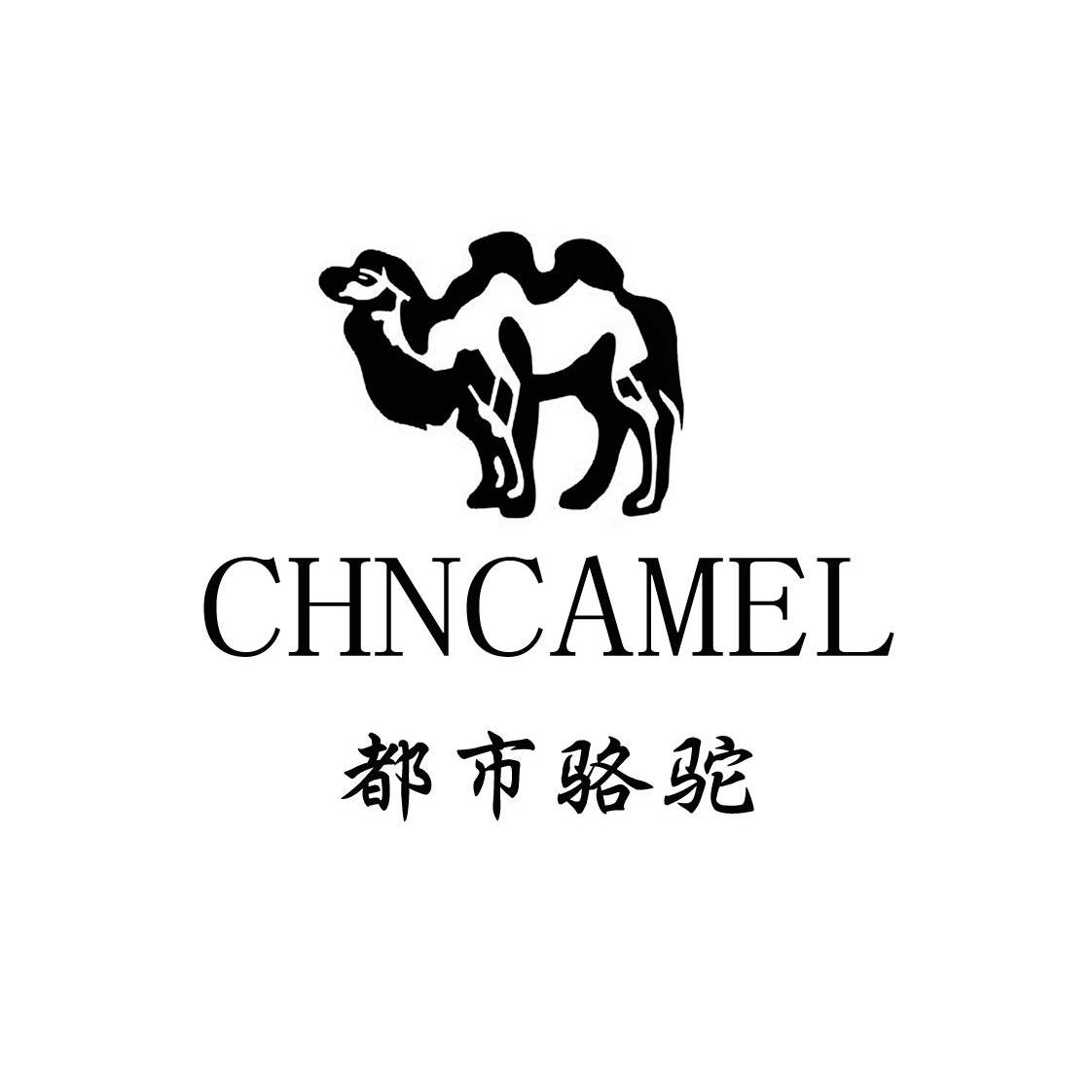 都市骆驼chncamel