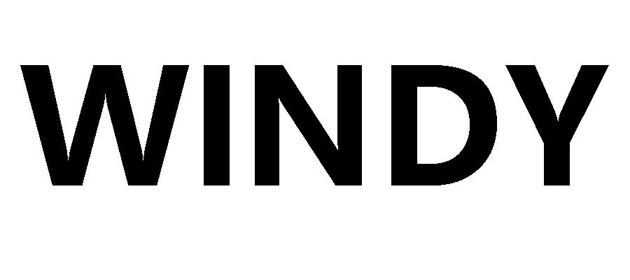 windy(3599)商标查询_windy(3599)查询商标_windy(3599)